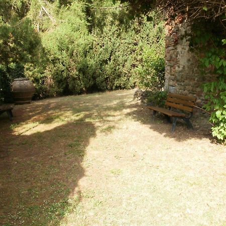 Villa Agriturismo Il Palazzaccio Galliano Exterior foto