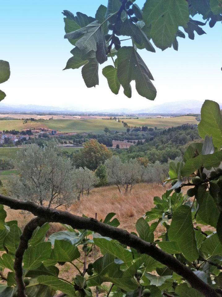 Villa Agriturismo Il Palazzaccio Galliano Exterior foto