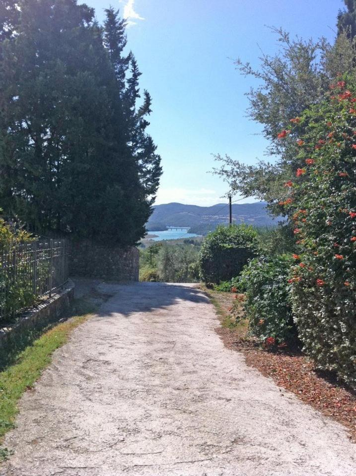 Villa Agriturismo Il Palazzaccio Galliano Exterior foto