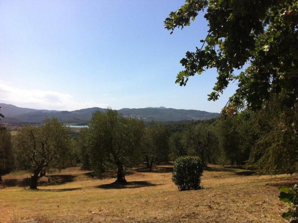 Villa Agriturismo Il Palazzaccio Galliano Exterior foto