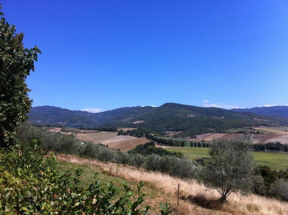 Villa Agriturismo Il Palazzaccio Galliano Exterior foto
